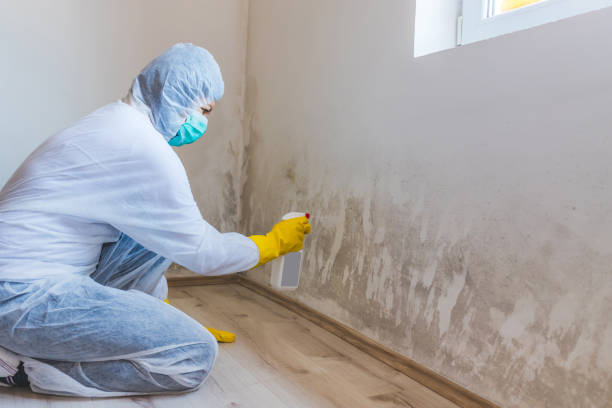 Mold Remediation specialist working in Paramus